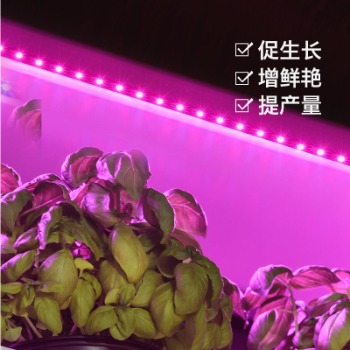 種植植物哪些情況使用植物補光燈？